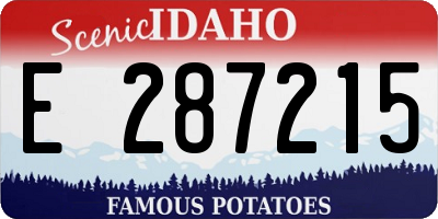 ID license plate E287215