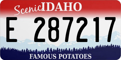 ID license plate E287217