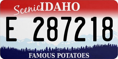 ID license plate E287218