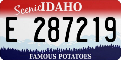 ID license plate E287219