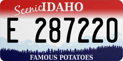 ID license plate E287220