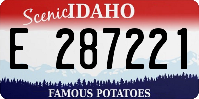 ID license plate E287221
