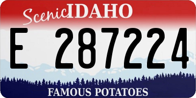 ID license plate E287224