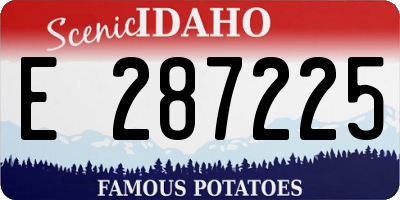 ID license plate E287225
