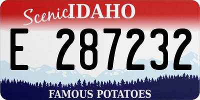 ID license plate E287232