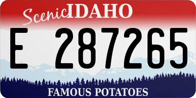 ID license plate E287265