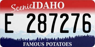 ID license plate E287276