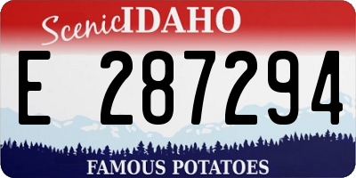 ID license plate E287294