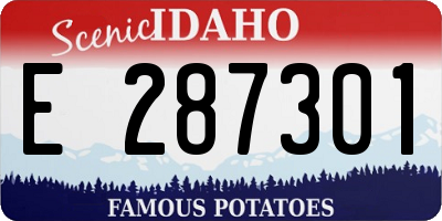 ID license plate E287301
