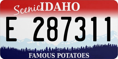 ID license plate E287311