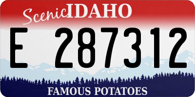 ID license plate E287312