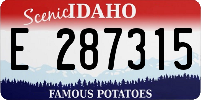ID license plate E287315