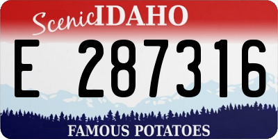 ID license plate E287316