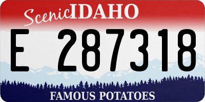 ID license plate E287318