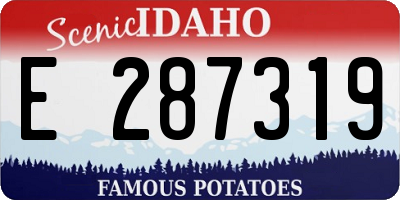 ID license plate E287319