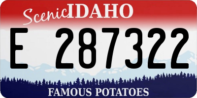 ID license plate E287322