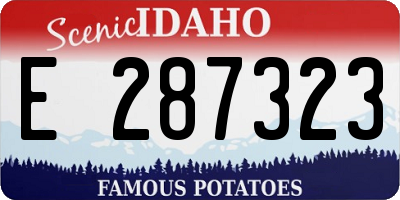 ID license plate E287323