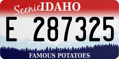 ID license plate E287325