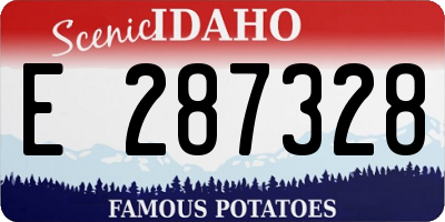 ID license plate E287328