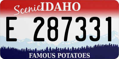 ID license plate E287331