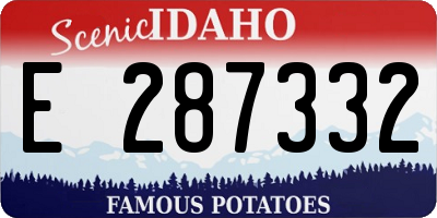 ID license plate E287332