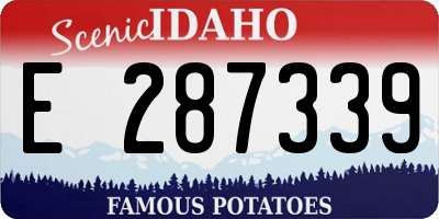 ID license plate E287339