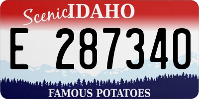 ID license plate E287340