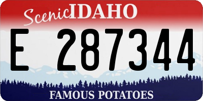 ID license plate E287344