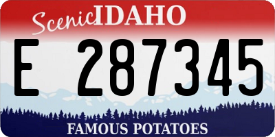 ID license plate E287345