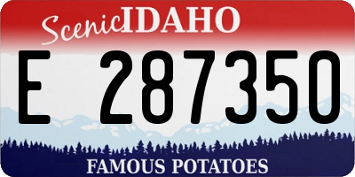 ID license plate E287350