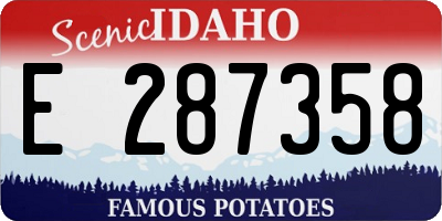 ID license plate E287358
