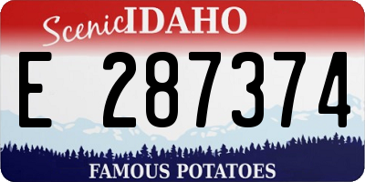ID license plate E287374