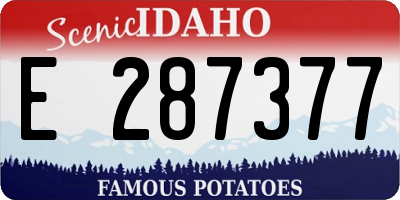 ID license plate E287377