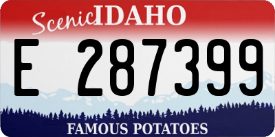 ID license plate E287399