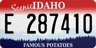 ID license plate E287410