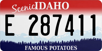 ID license plate E287411