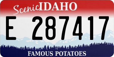 ID license plate E287417