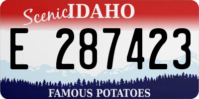 ID license plate E287423