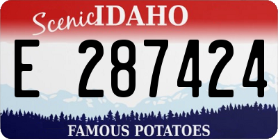 ID license plate E287424