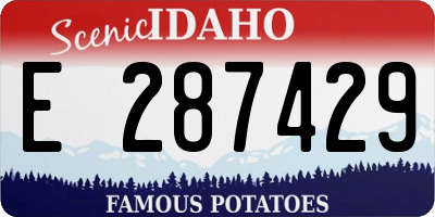 ID license plate E287429