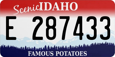 ID license plate E287433
