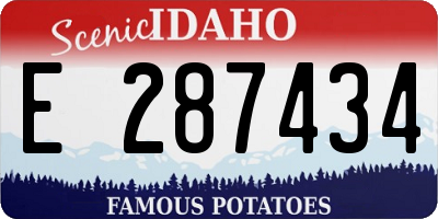 ID license plate E287434