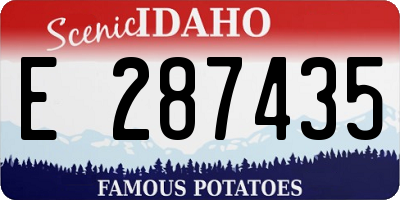 ID license plate E287435