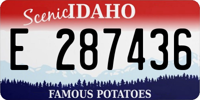 ID license plate E287436