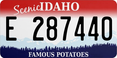 ID license plate E287440
