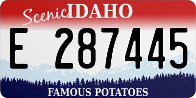 ID license plate E287445