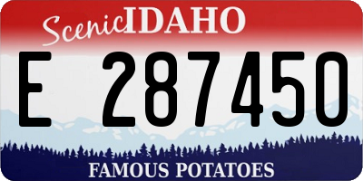 ID license plate E287450