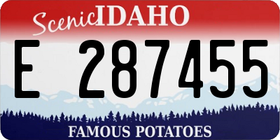 ID license plate E287455