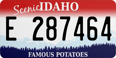 ID license plate E287464