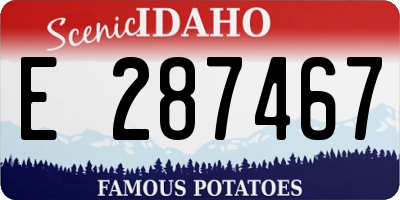 ID license plate E287467